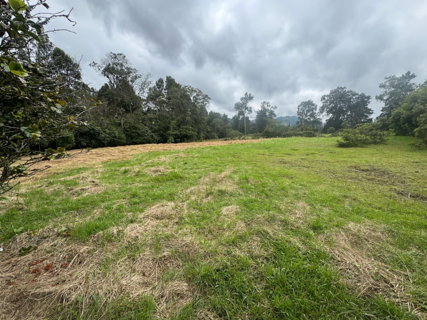 Lotes en venta en exclusiva Parcelacion de las palmas  - Image 6