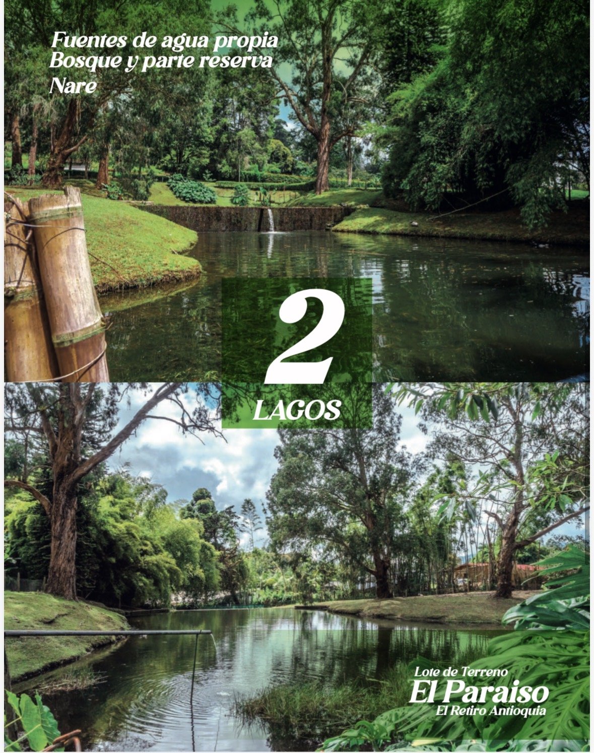 Exclusiva casa en venta , ideal para desarrollo de proyectos inmobiliarios o parcelar . - Image 6