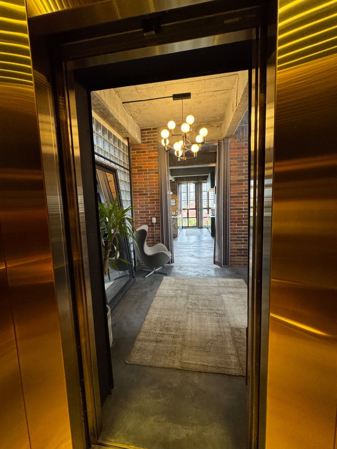 Penthouse - Universal  - Image 2