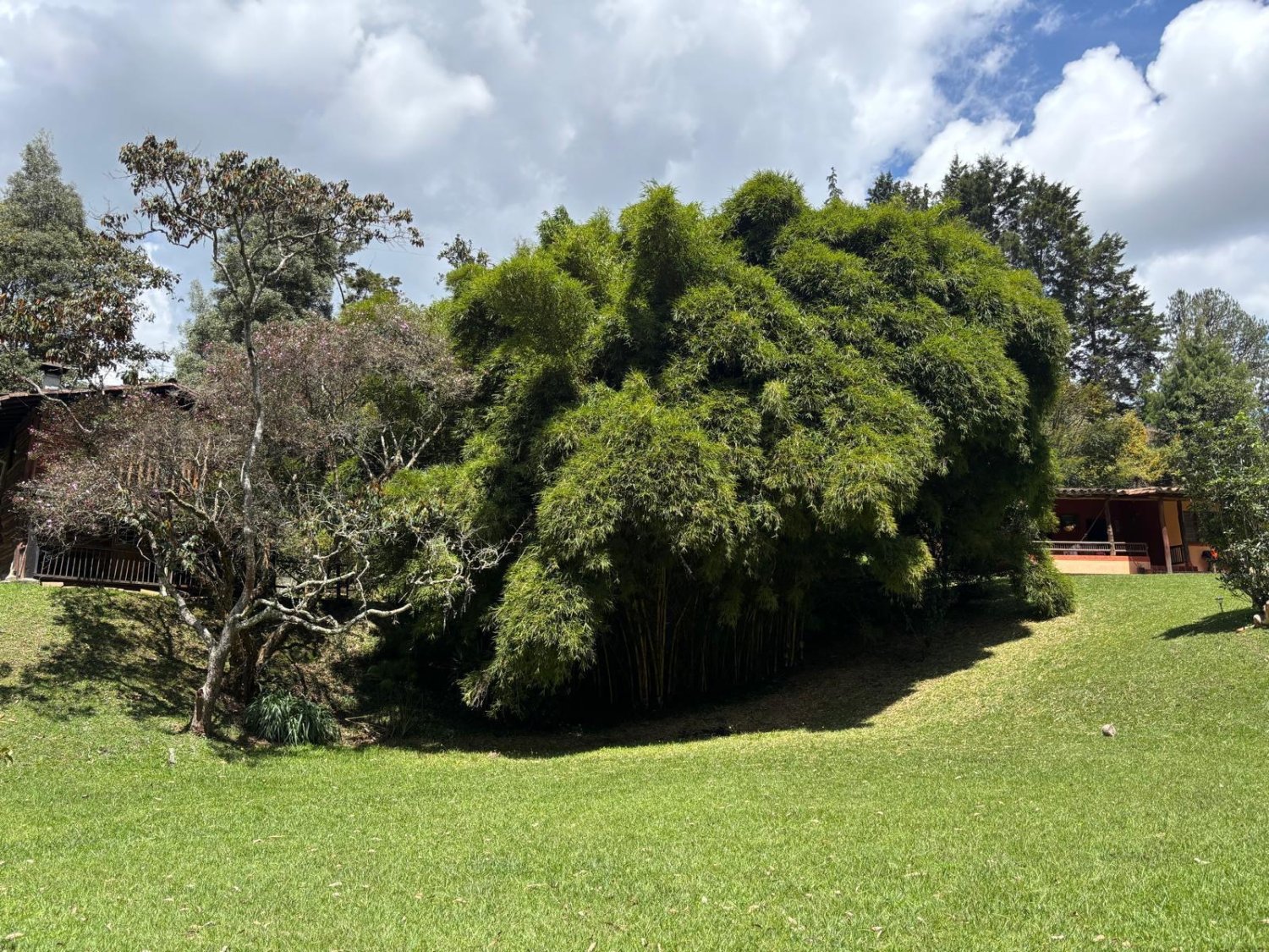 Casa lote disponible en venta en Guarne  con 3 cabañas  — 10