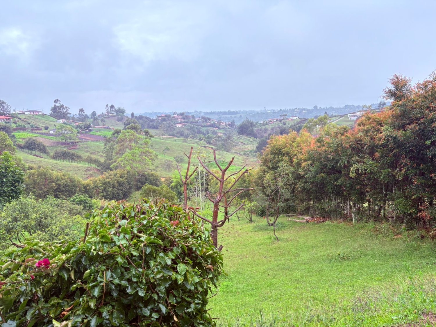 Casa Campestre En Renta y Venta en Rionegro  - Image 14