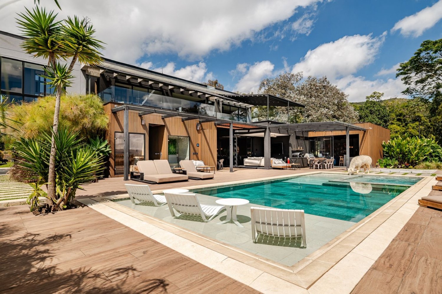 Libia Luxury House Oriente Antioqueño — 4