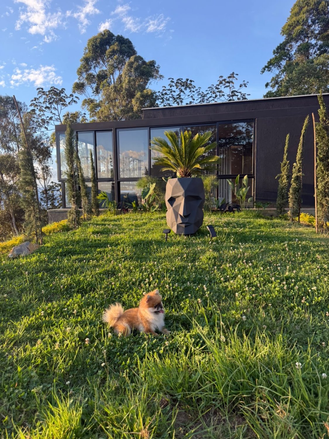 Exclusiva casa en Renta con vista a la ciudad ubicada en las palmas  - Image 10