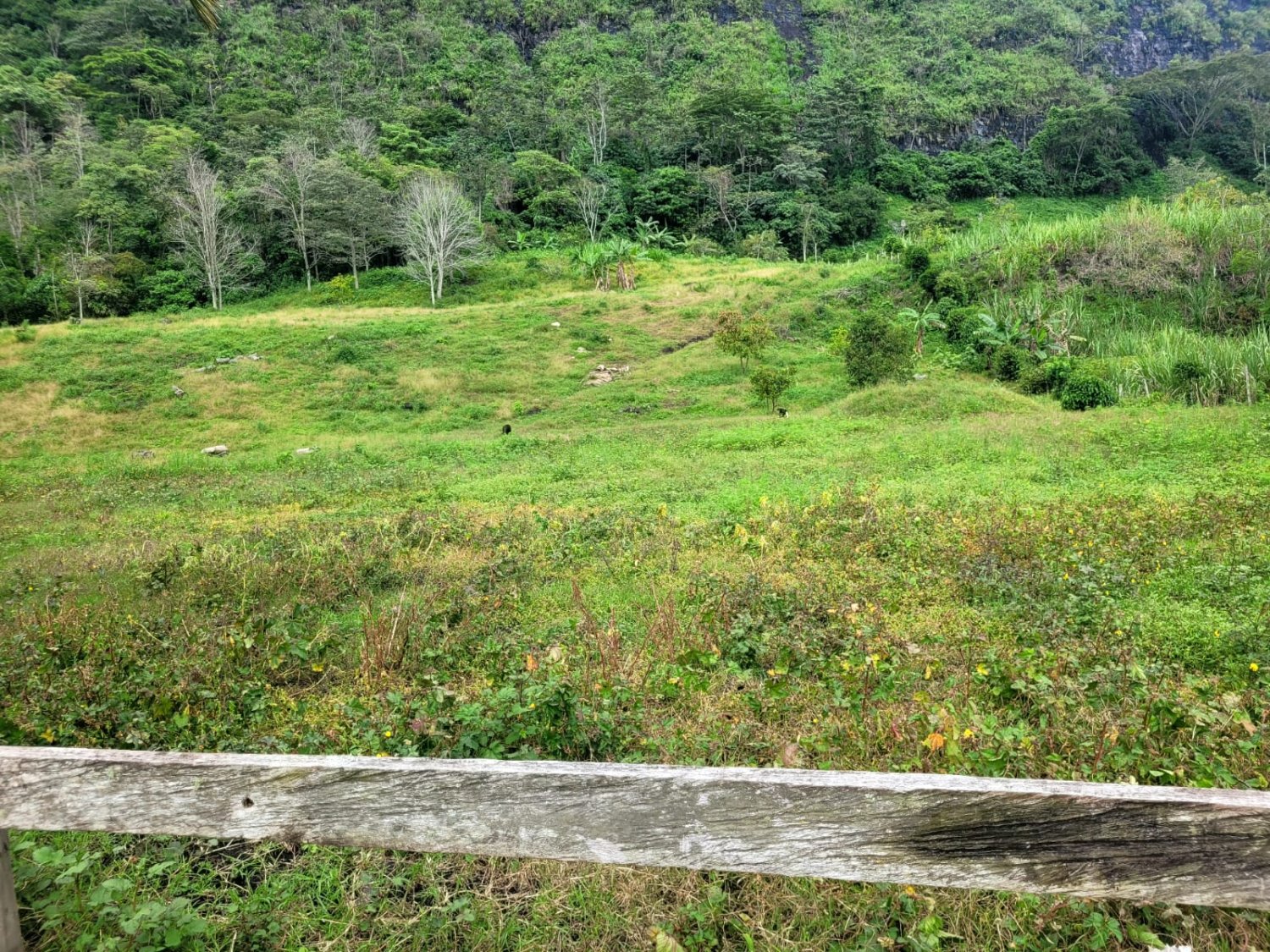 Paraíso Natural en Terreno Espacioso