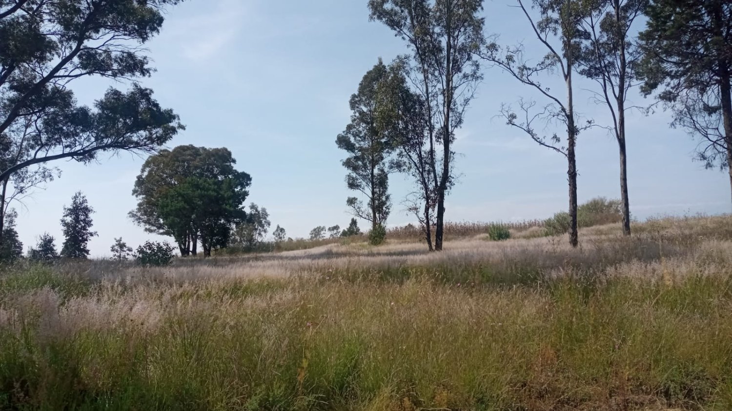 Fercabienesraices17's Profile